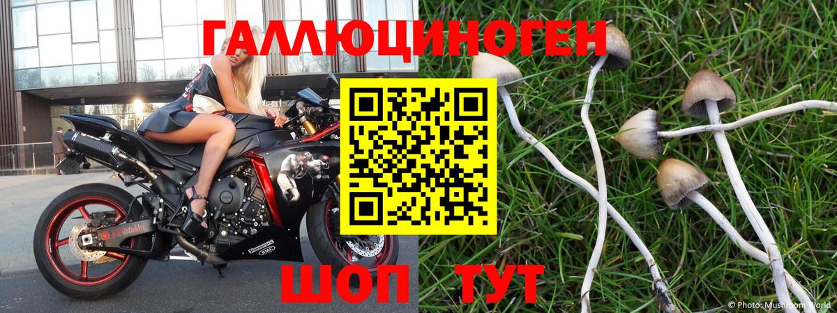 Псилоцибиновые грибы Psilocybe  Галлюциногенные грибы Magic Shrooms  Павлово  Вход с VPN 